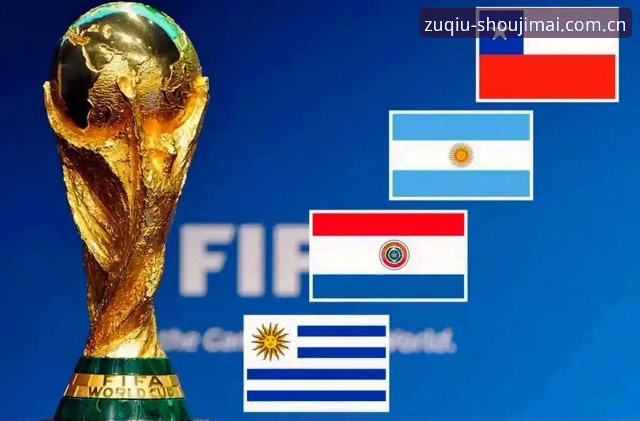 2026世界杯购彩平台怎么选？专业分析师教你避开这些坑